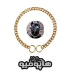 قلاده چوک چاین طلایی سگ