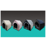 کلیه حیوانات مدل سلسیل