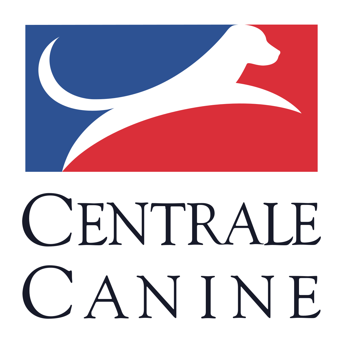 Spciete centrale canine