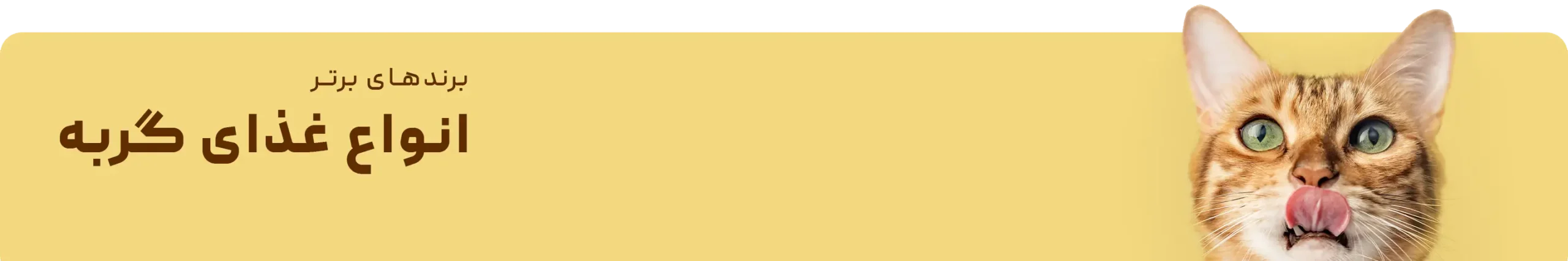 انواع غذای گربه - برندهای برتر