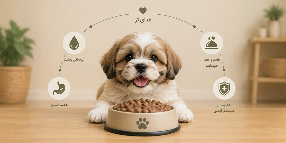 غذای تر برای سگ